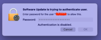 Authentication is disabled.png