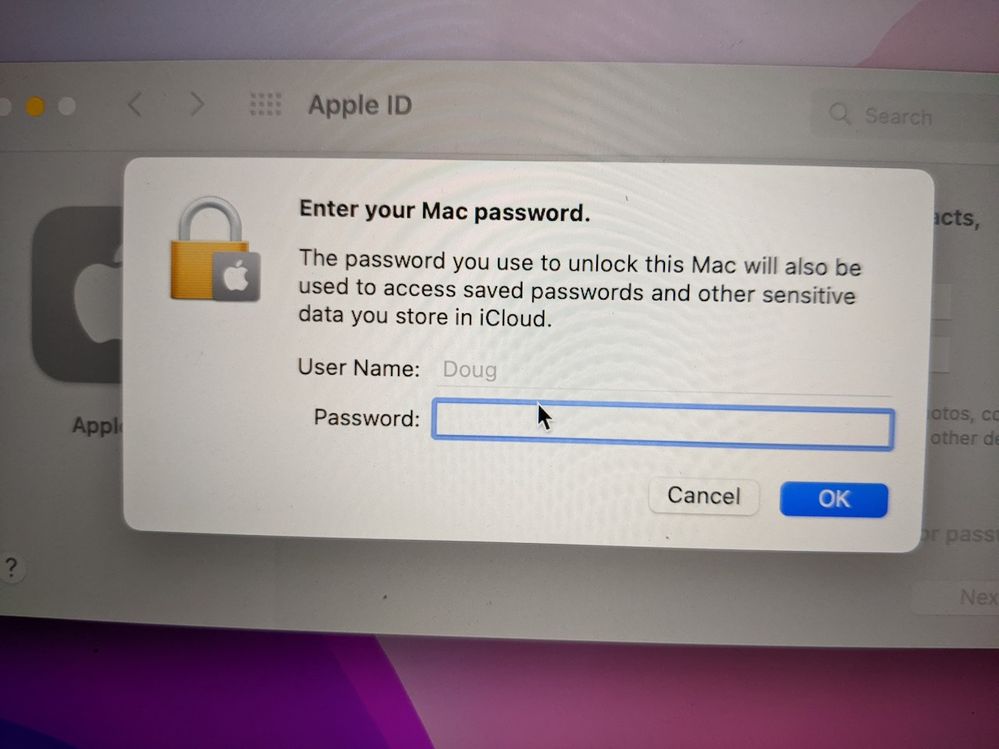 password prompt when originally setting up icloud within system preferences