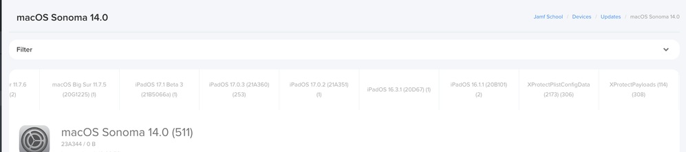 I have iPads with iOS 16 and I don't see iOS 16.6.1 and 16.7?