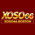 xoso66boston