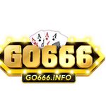 go666info