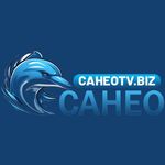 caheotvbiz