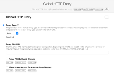 Global HTTP Proxy - Auto.png