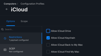 iCloud Restrictions.png